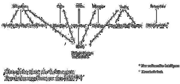 �bersicht �ber die bekannten Erscheinungsformen des MMVV